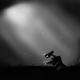 Illustration for article titled Wall-E Meets Limbo Is Great For Wallpaper, Not So Great For Smiling